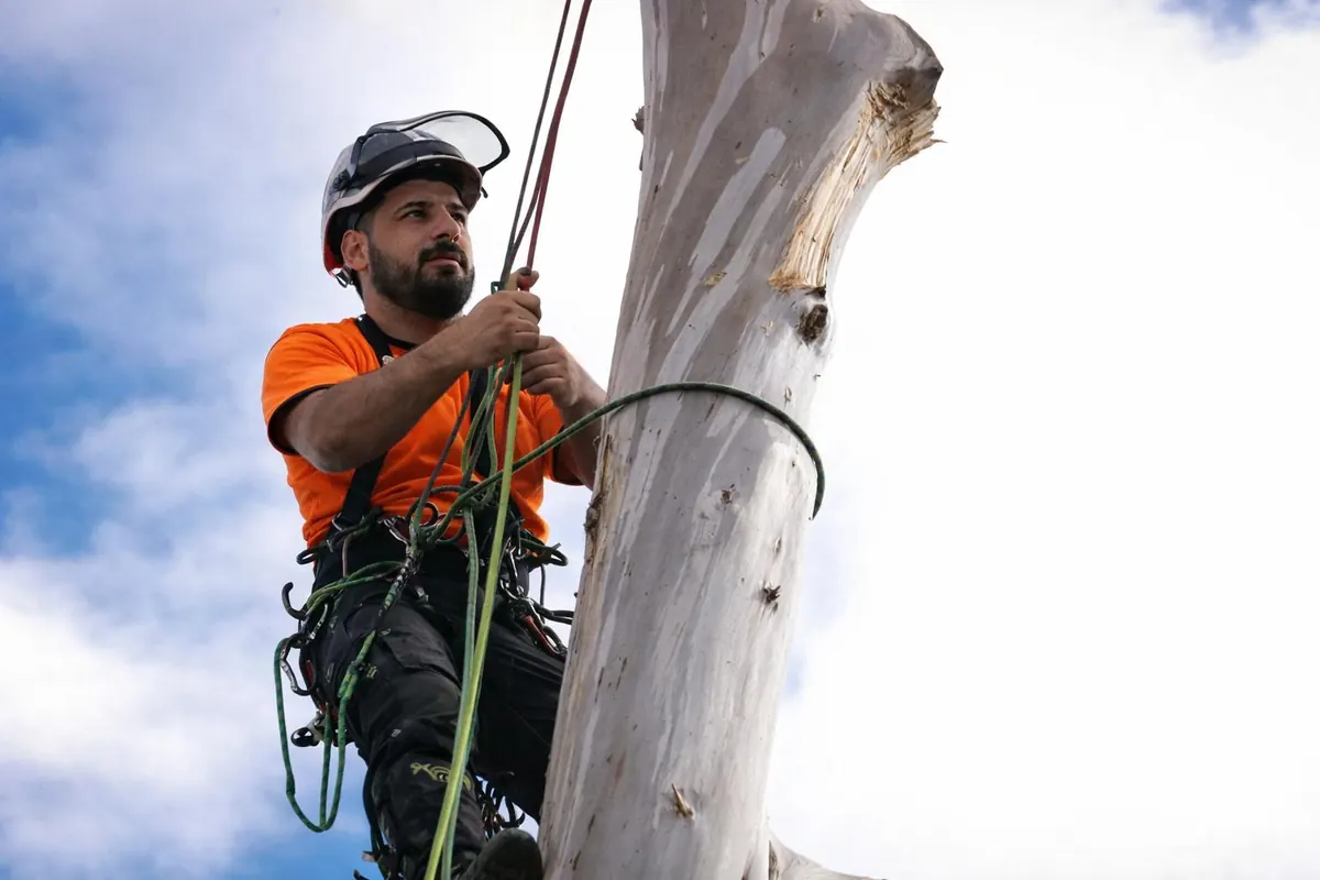 AKR Tree Services crew completing tree work in Melbourne