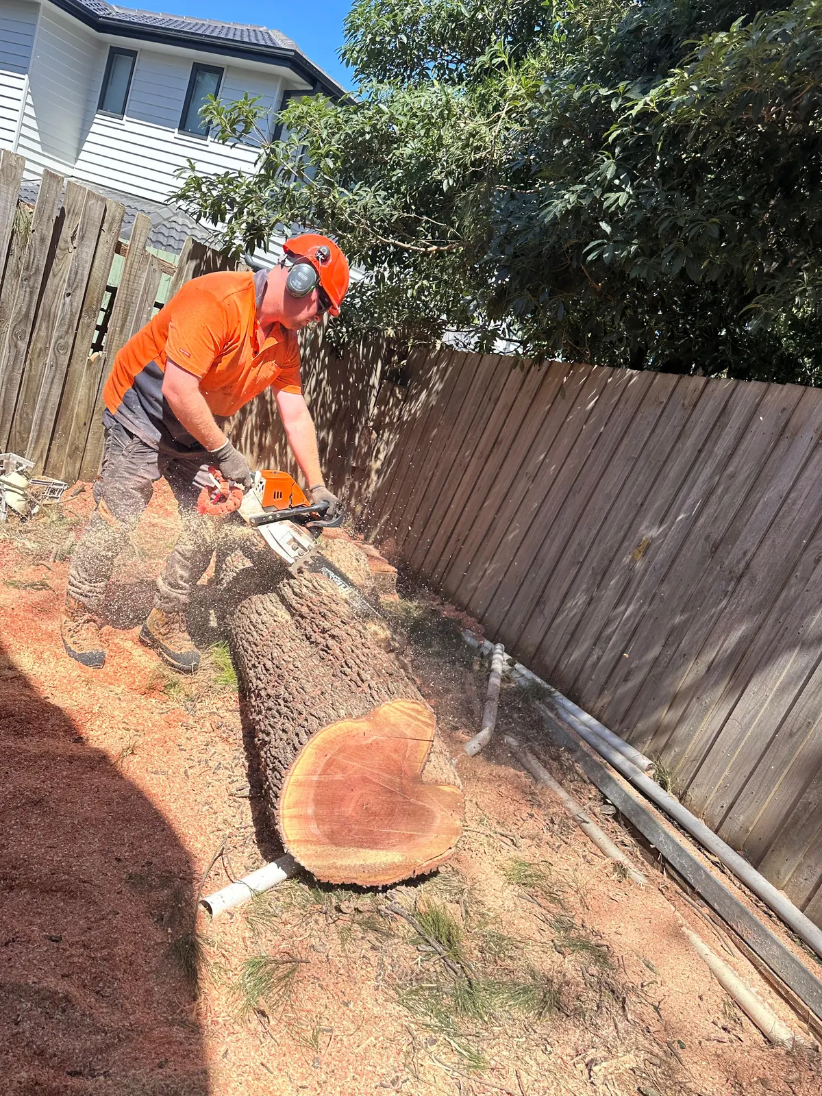 AKR Tree Services crew completing tree work in Melbourne