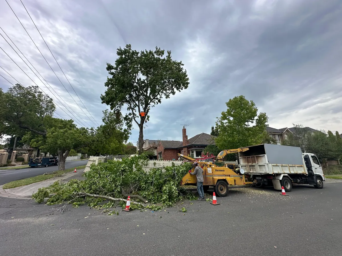 AKR Tree Services crew completing tree work in Melbourne