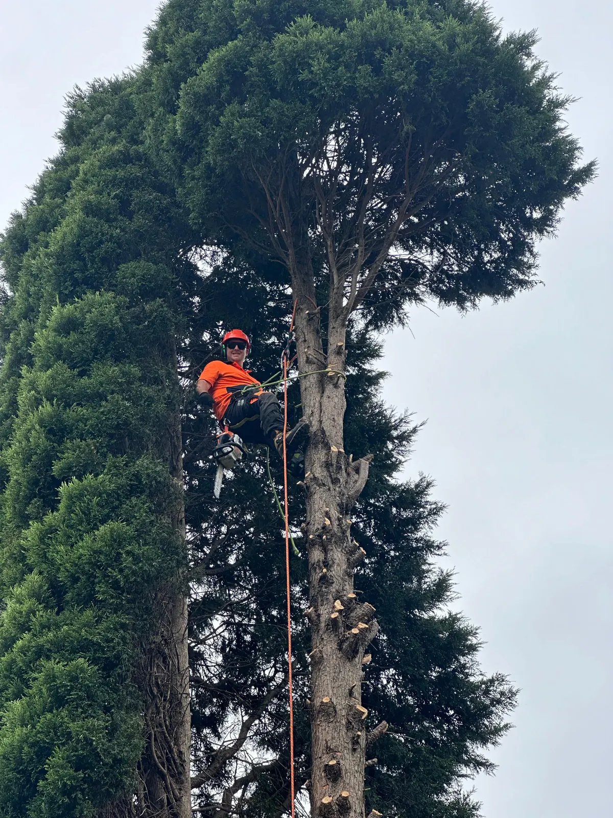 AKR Tree Services crew completing tree work in Melbourne