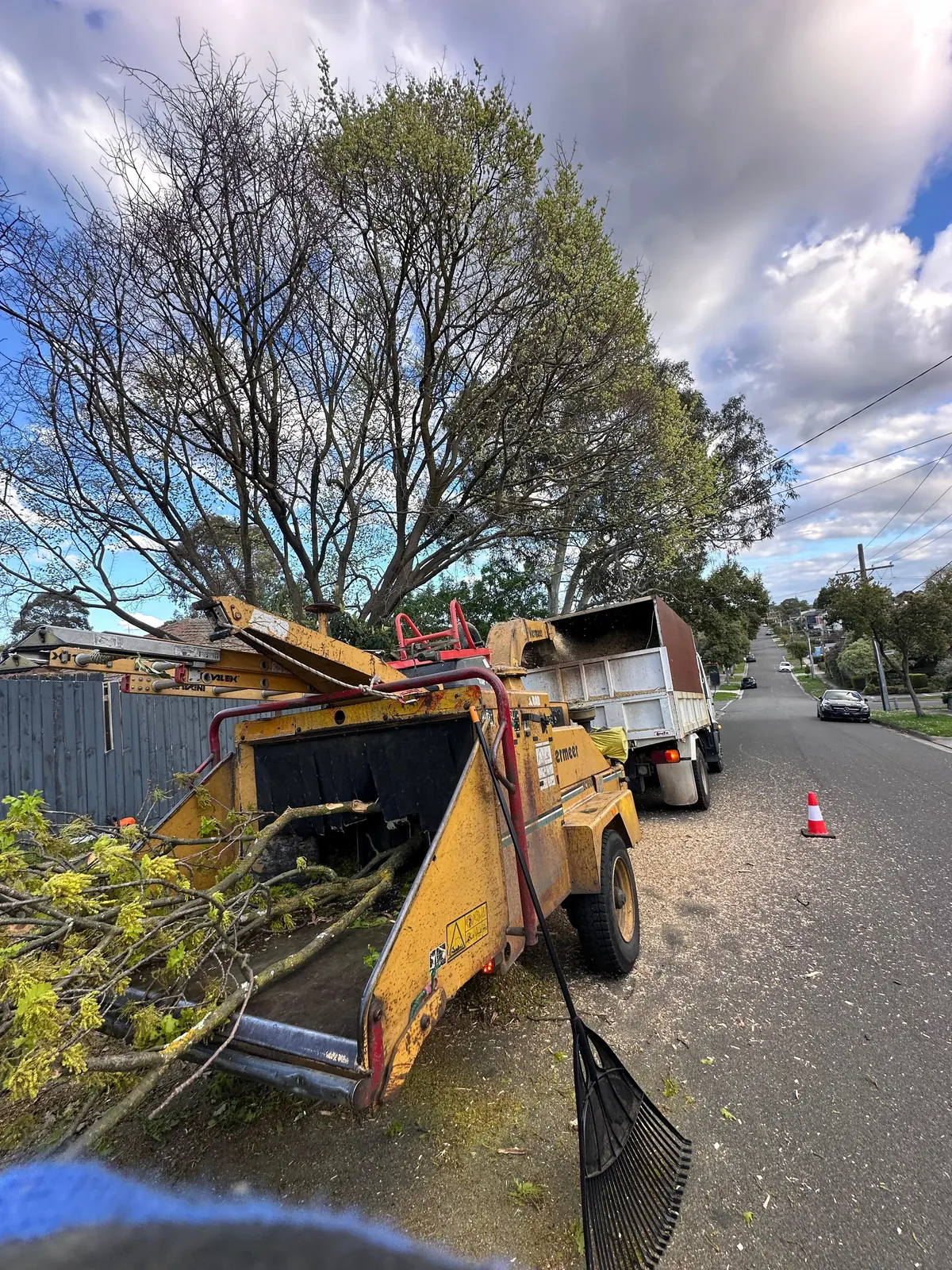AKR Tree Services crew completing tree work in Melbourne