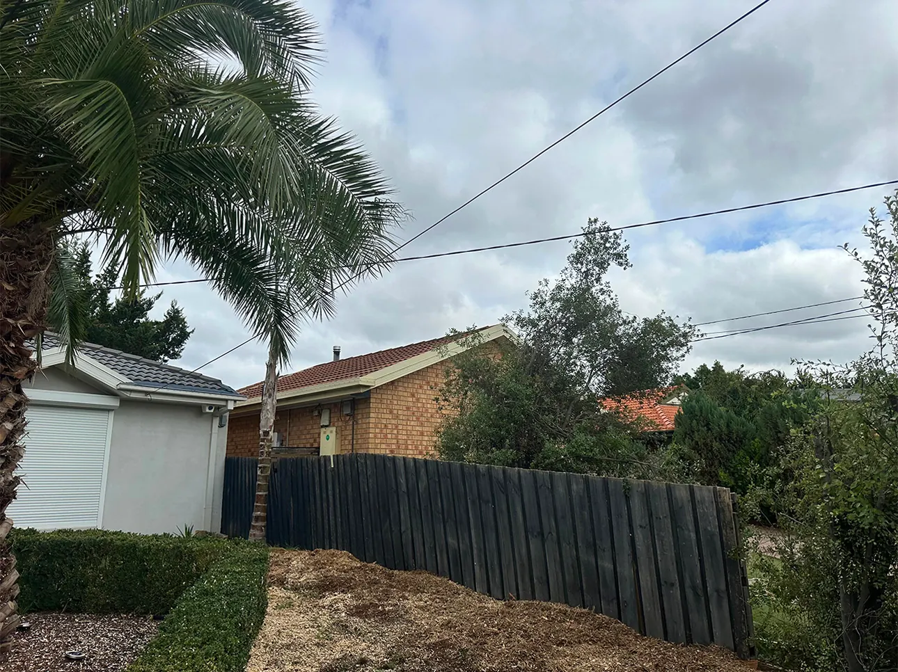 After tree removal, Melbourne job #1