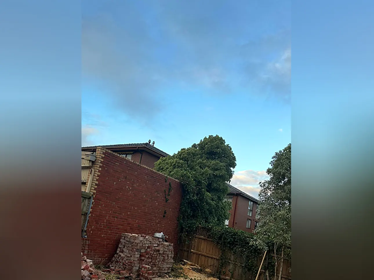 After tree removal, Melbourne job #2