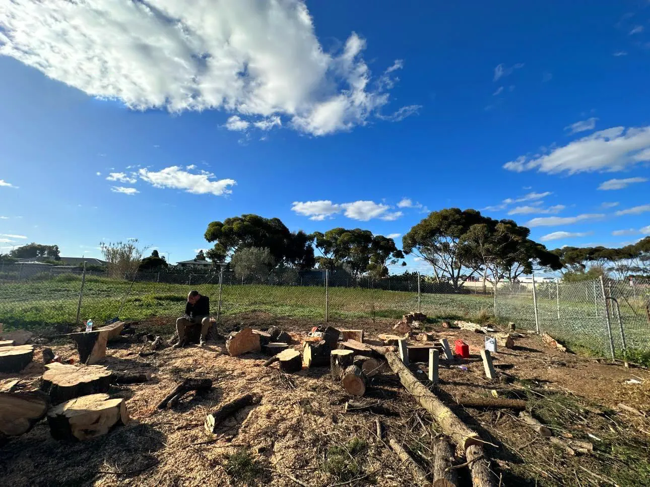 After tree removal, Melbourne job #3