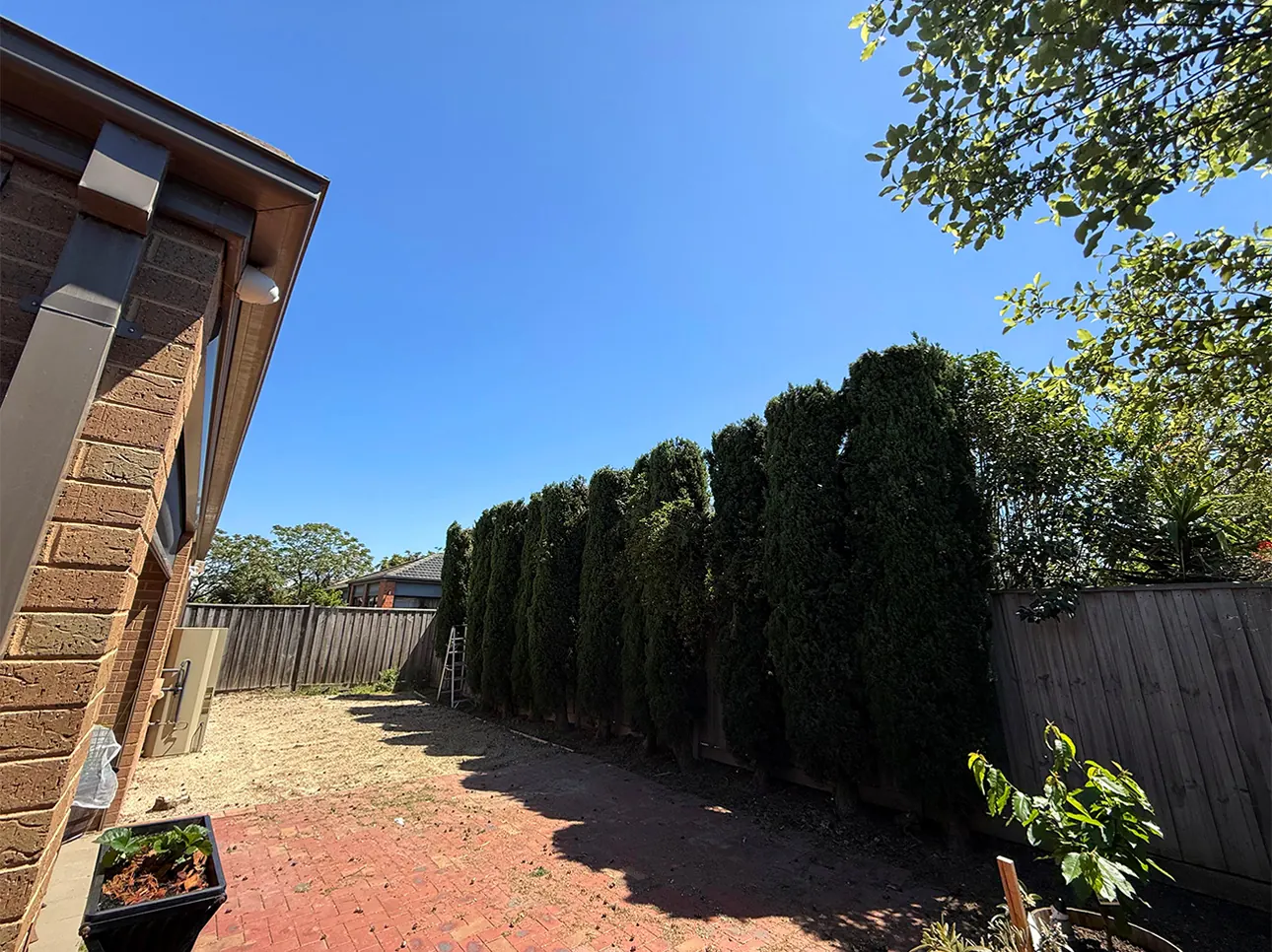 After tree removal, Melbourne job #4