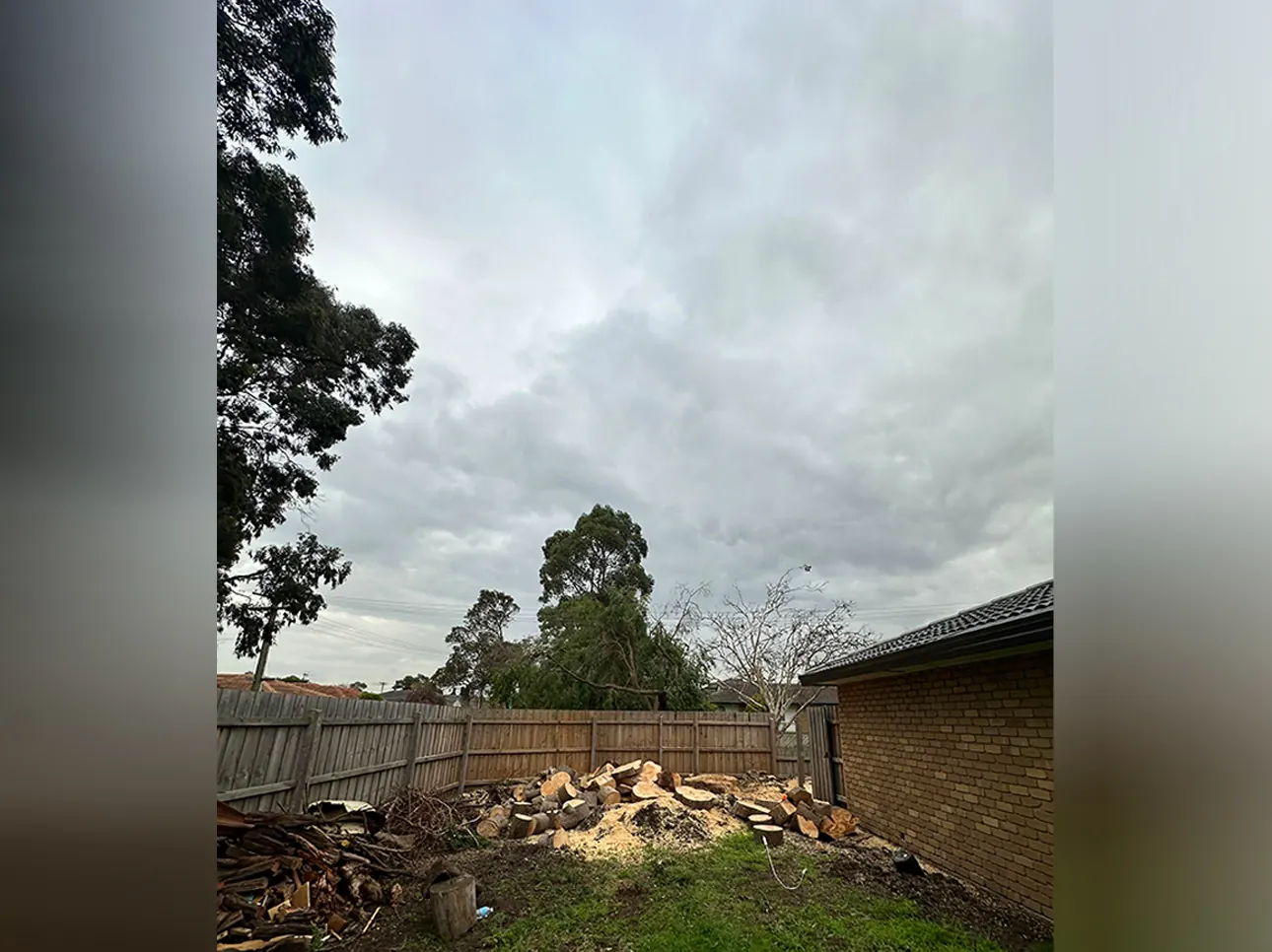 After tree removal, Melbourne job #8